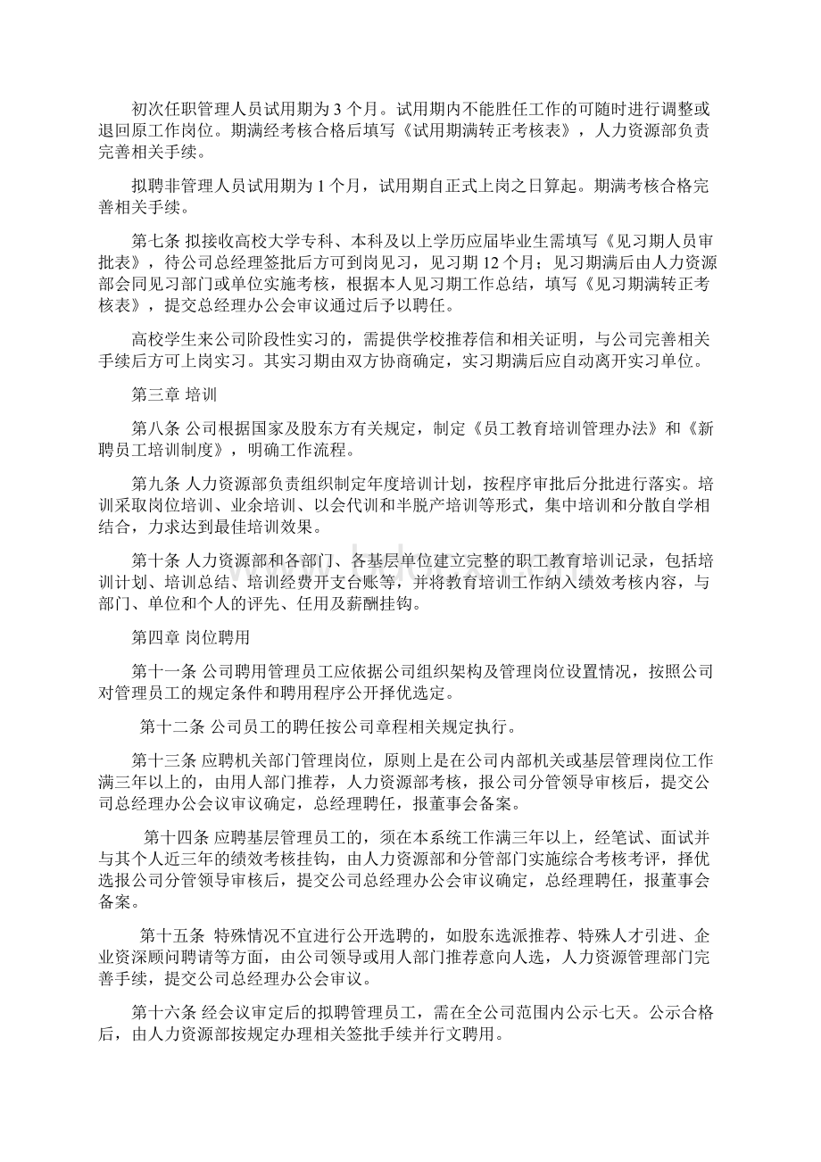 人力资源管理办法试行.docx_第2页