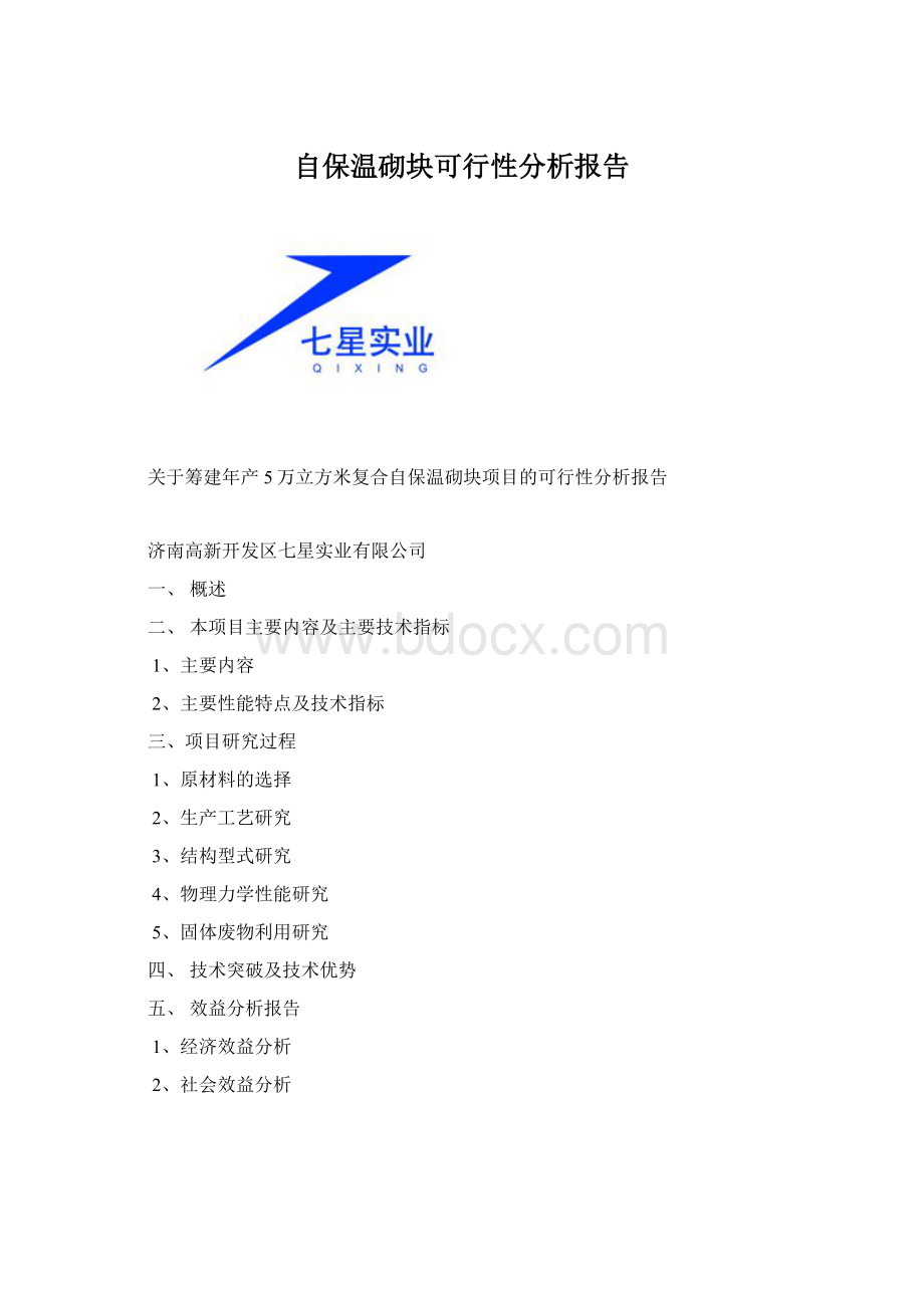 自保温砌块可行性分析报告.docx_第1页