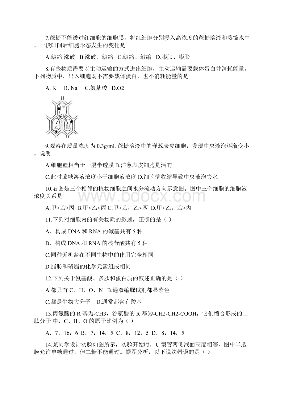 河南省鹤壁市高级中学学年高一生物第三次段考试题文档格式.docx_第2页