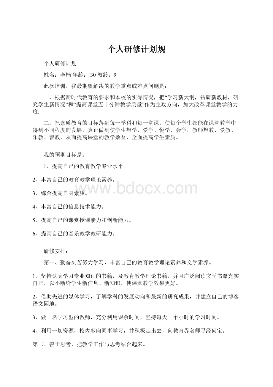 个人研修计划规.docx