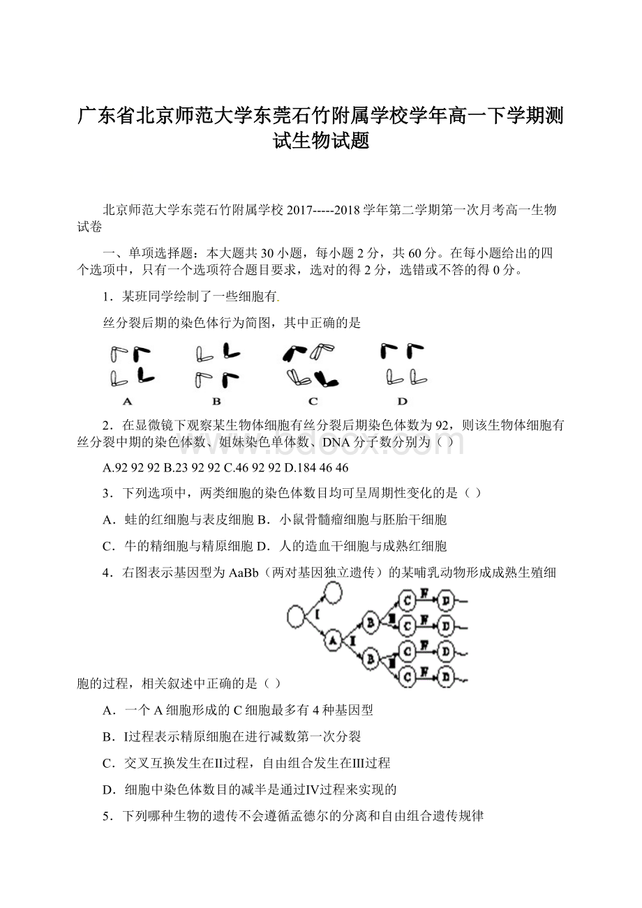 广东省北京师范大学东莞石竹附属学校学年高一下学期测试生物试题Word格式.docx_第1页