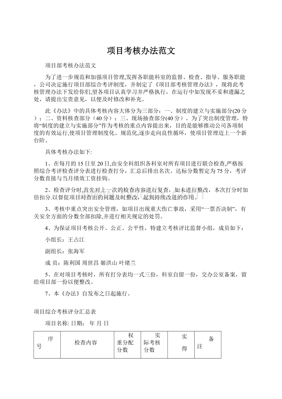 项目考核办法范文Word格式.docx_第1页