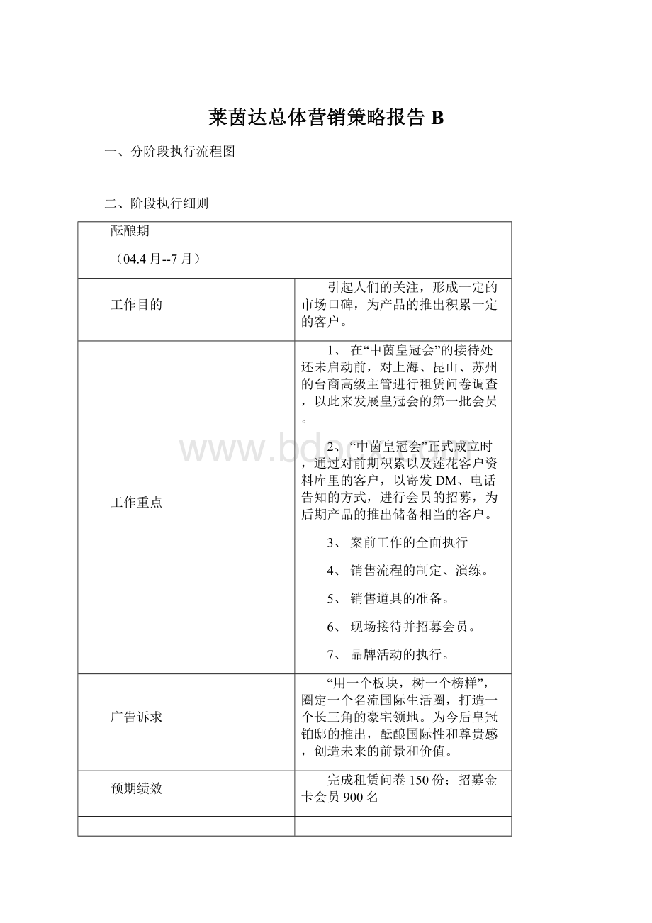 莱茵达总体营销策略报告B文档格式.docx