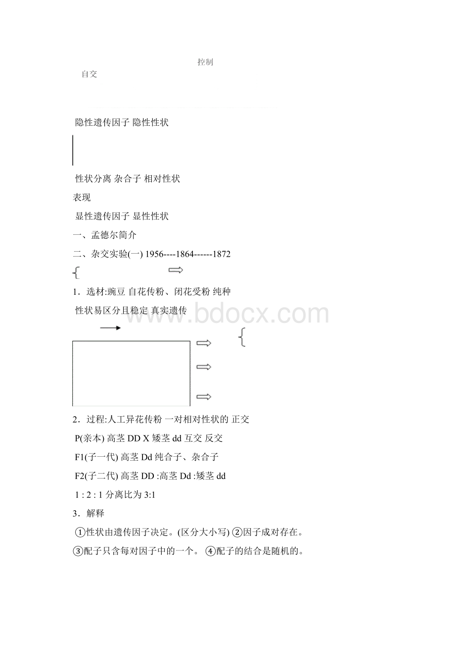 人教版高中生物必修2全册教案word版15页.docx_第2页