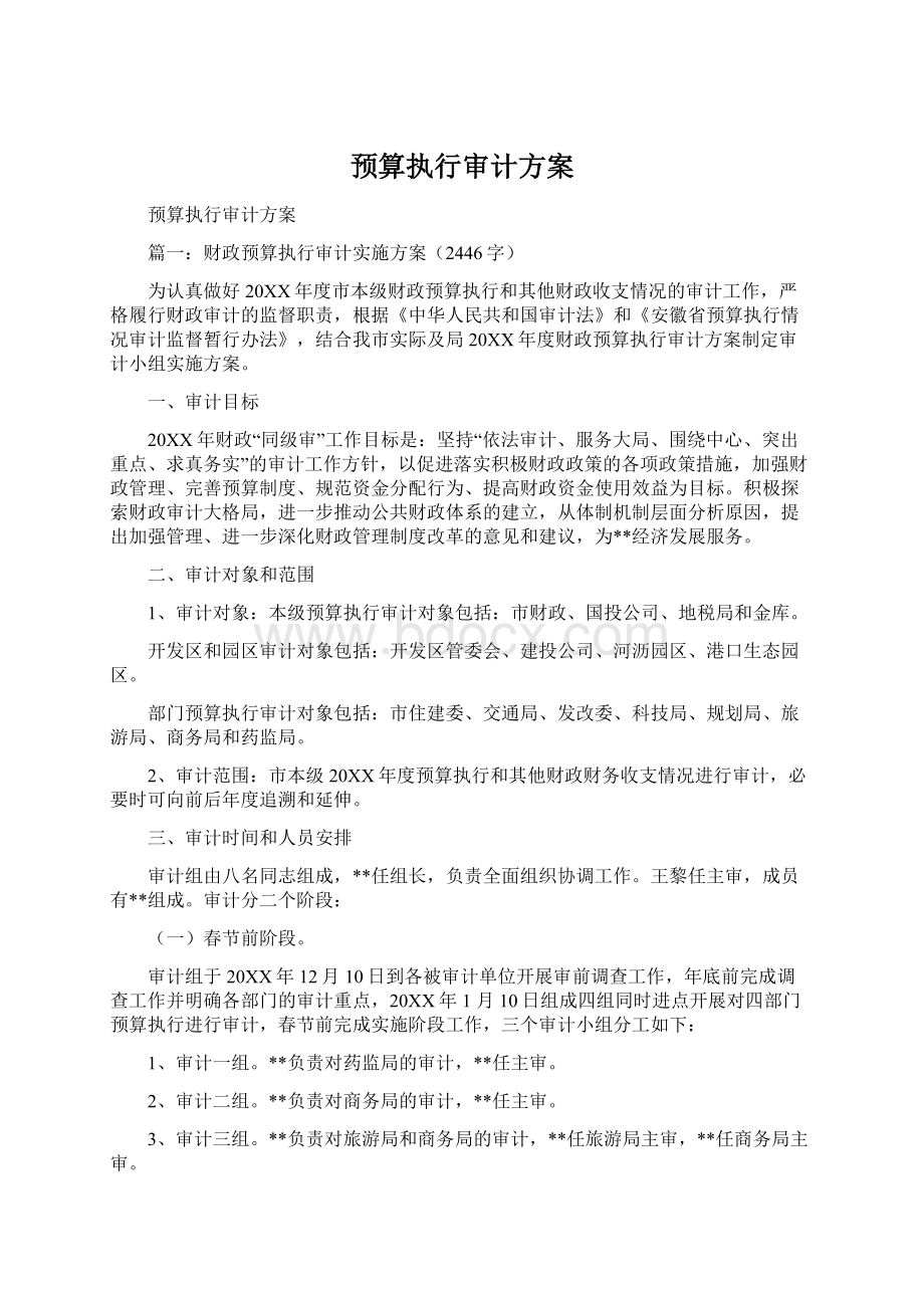 预算执行审计方案Word文件下载.docx_第1页