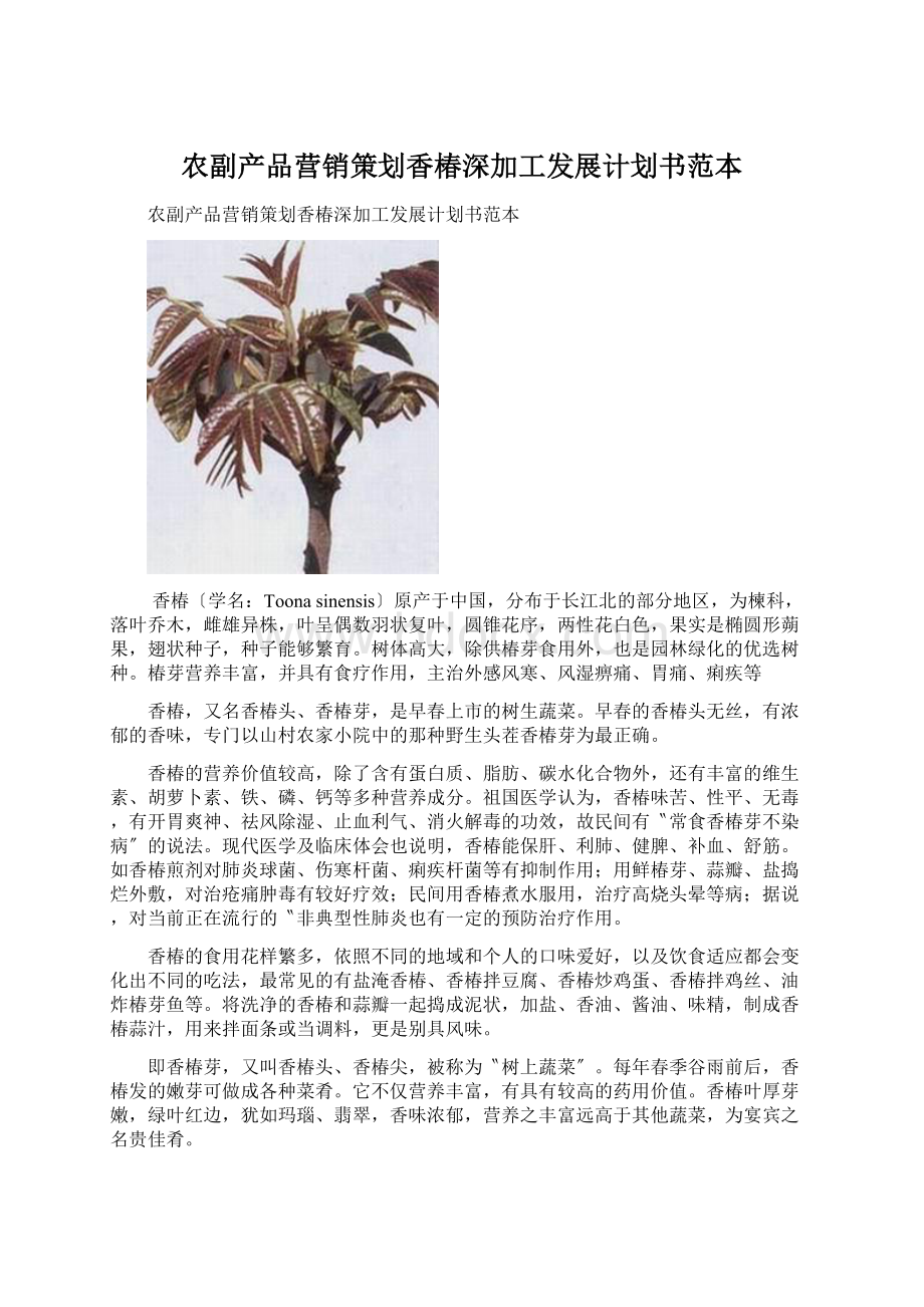 农副产品营销策划香椿深加工发展计划书范本.docx