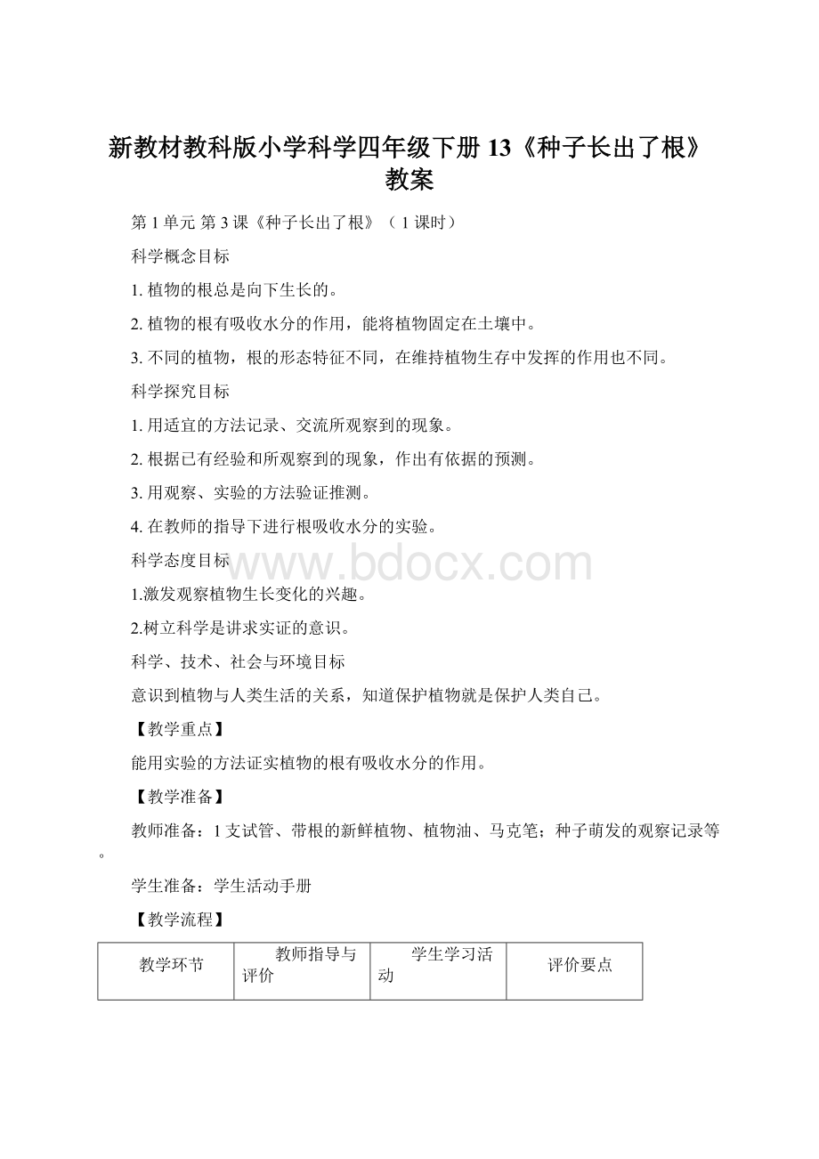 新教材教科版小学科学四年级下册13《种子长出了根》教案.docx_第1页