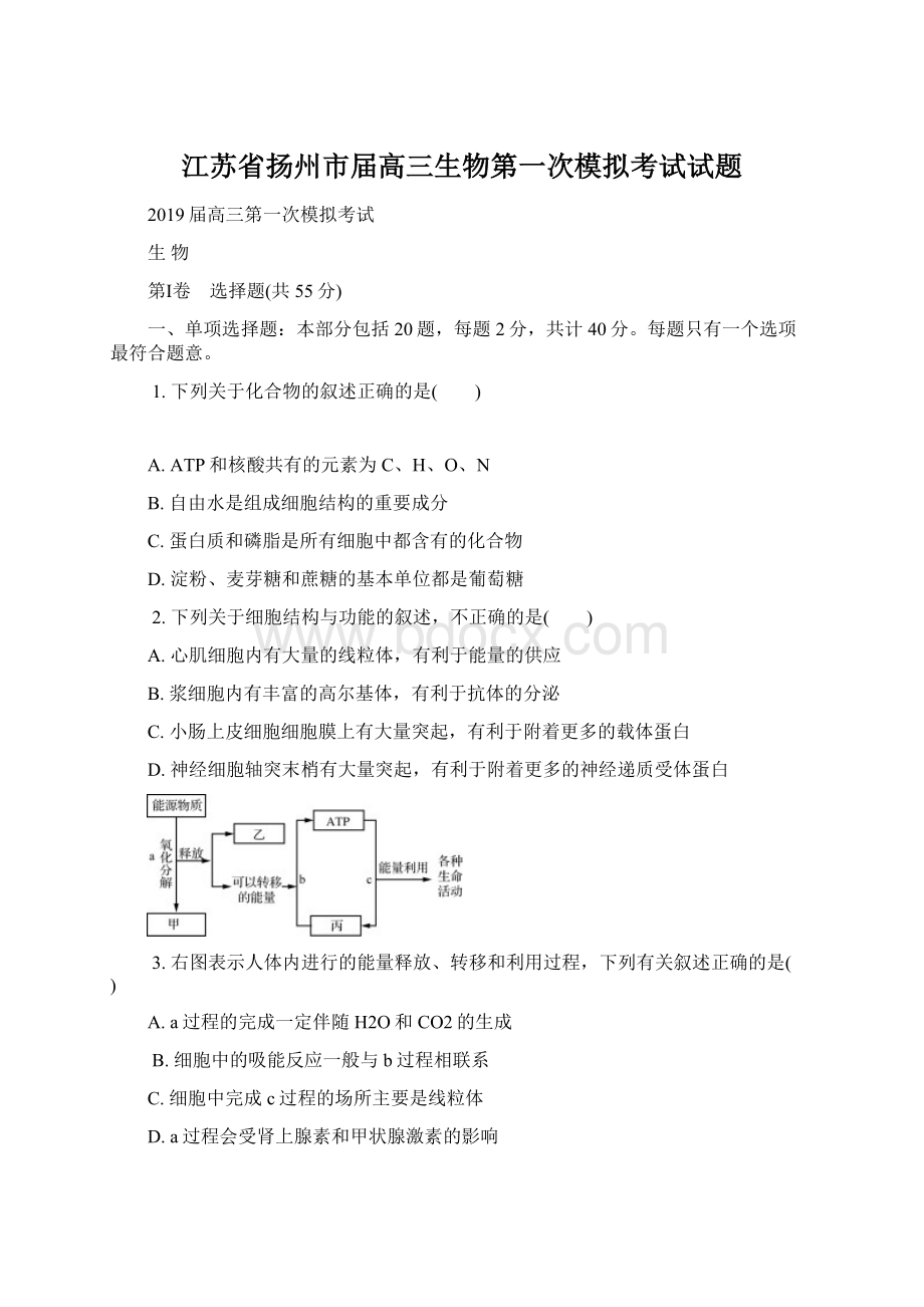 江苏省扬州市届高三生物第一次模拟考试试题.docx_第1页