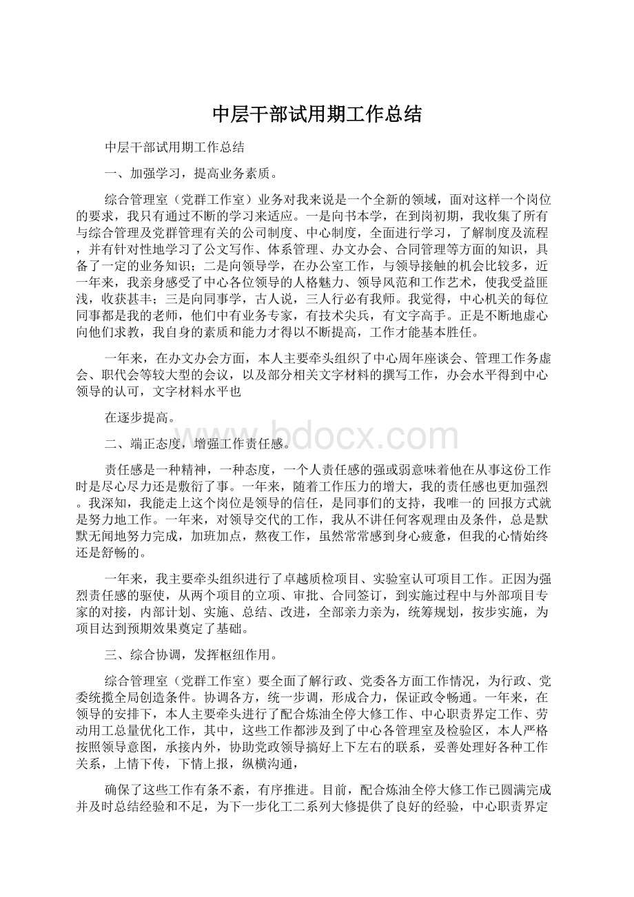 中层干部试用期工作总结Word文件下载.docx