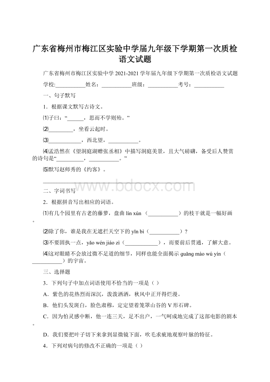 广东省梅州市梅江区实验中学届九年级下学期第一次质检语文试题.docx_第1页