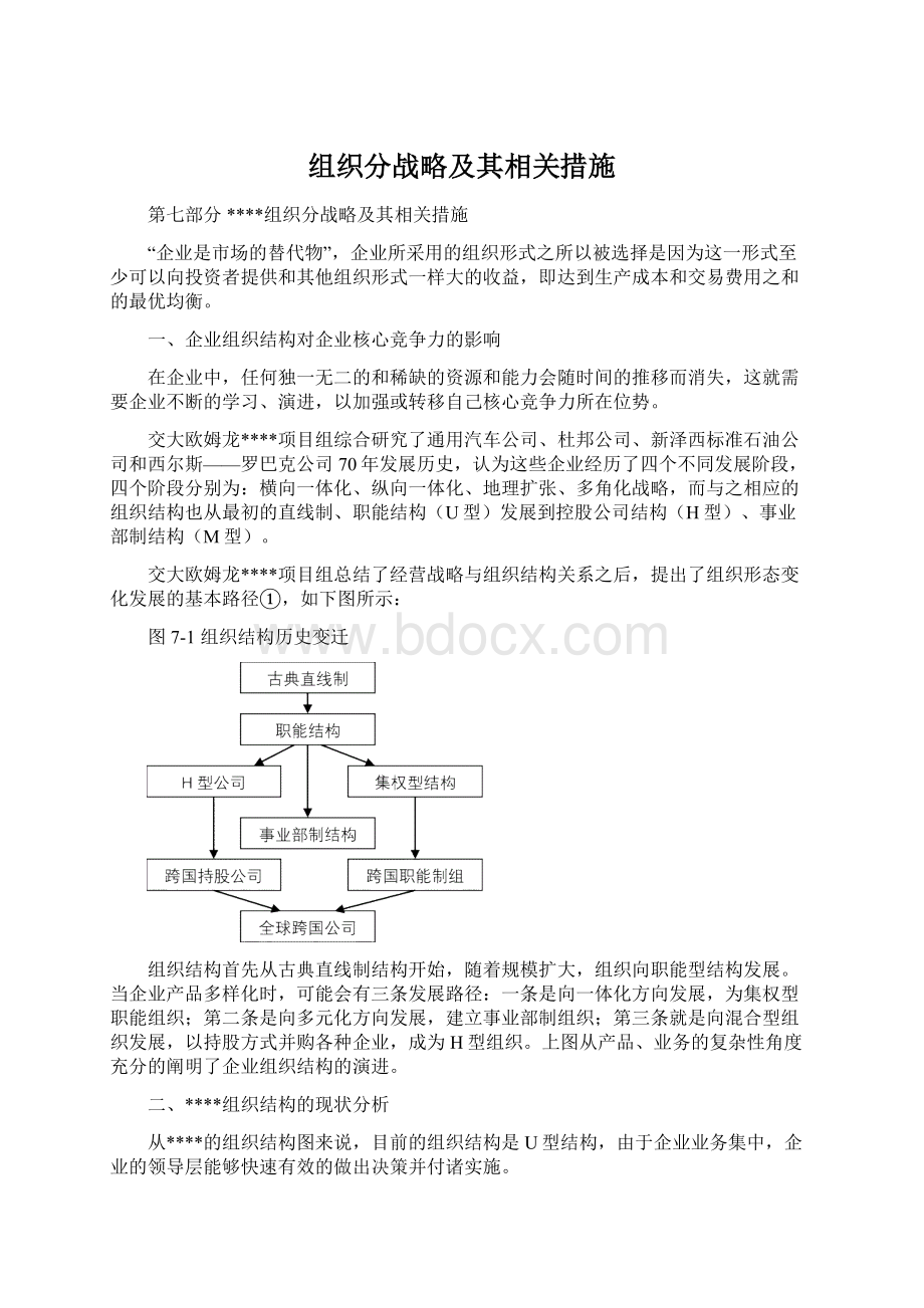 组织分战略及其相关措施.docx