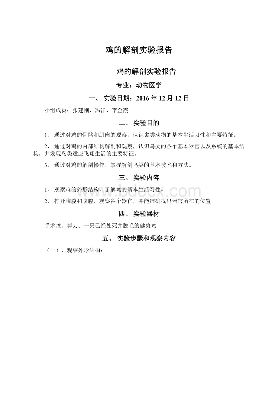 鸡的解剖实验报告.docx_第1页