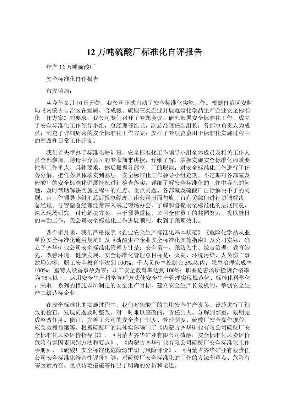 12万吨硫酸厂标准化自评报告Word下载.docx