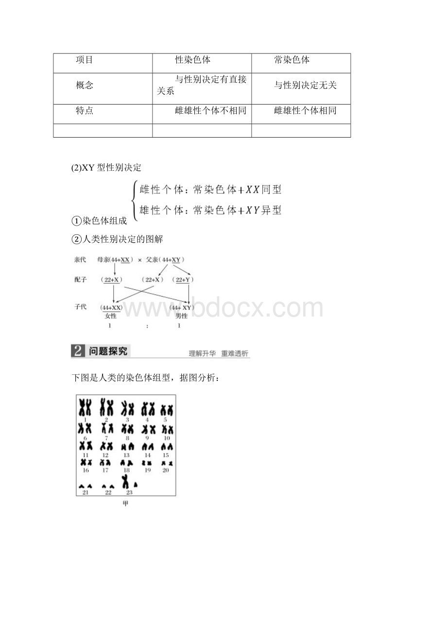 高中生物第二章染色体与遗传第三节性染色体与伴性遗传第1课时教学案浙科版.docx_第2页