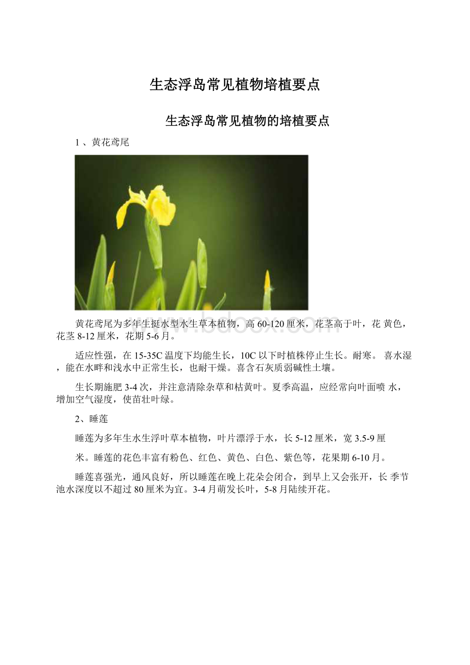 生态浮岛常见植物培植要点文档格式.docx_第1页