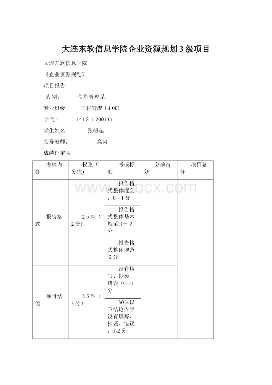 大连东软信息学院企业资源规划3级项目Word格式.docx