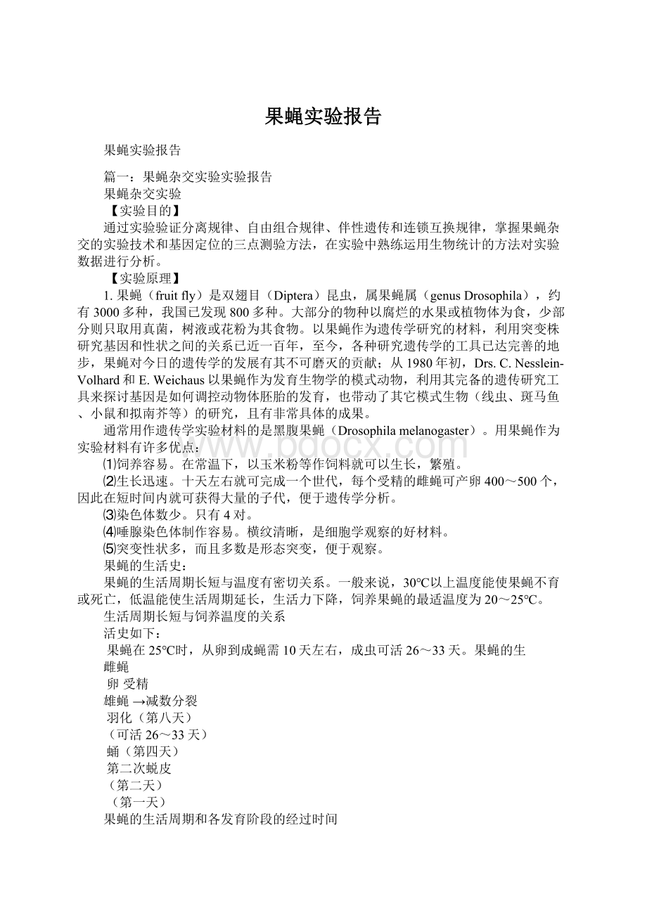 果蝇实验报告Word下载.docx