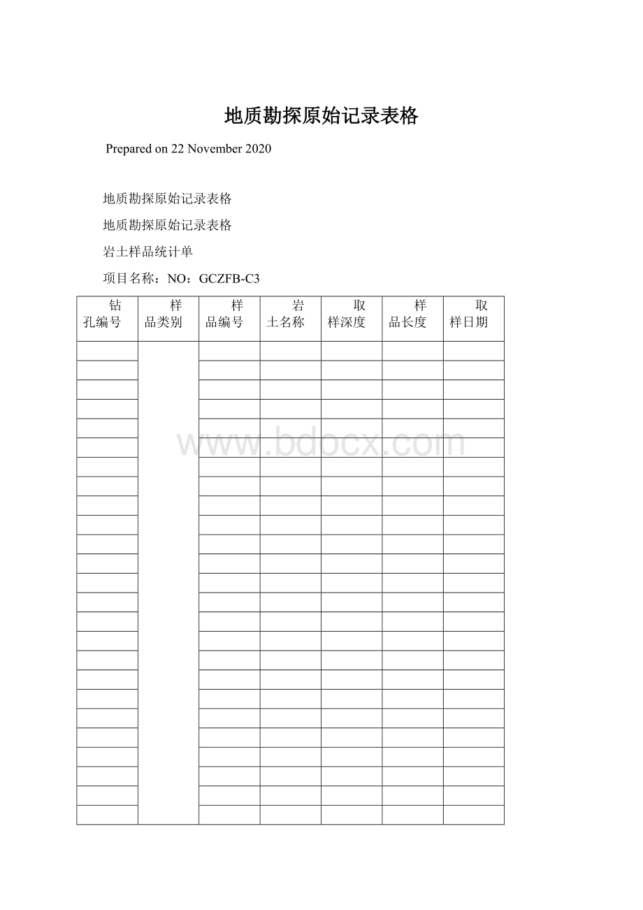 地质勘探原始记录表格.docx