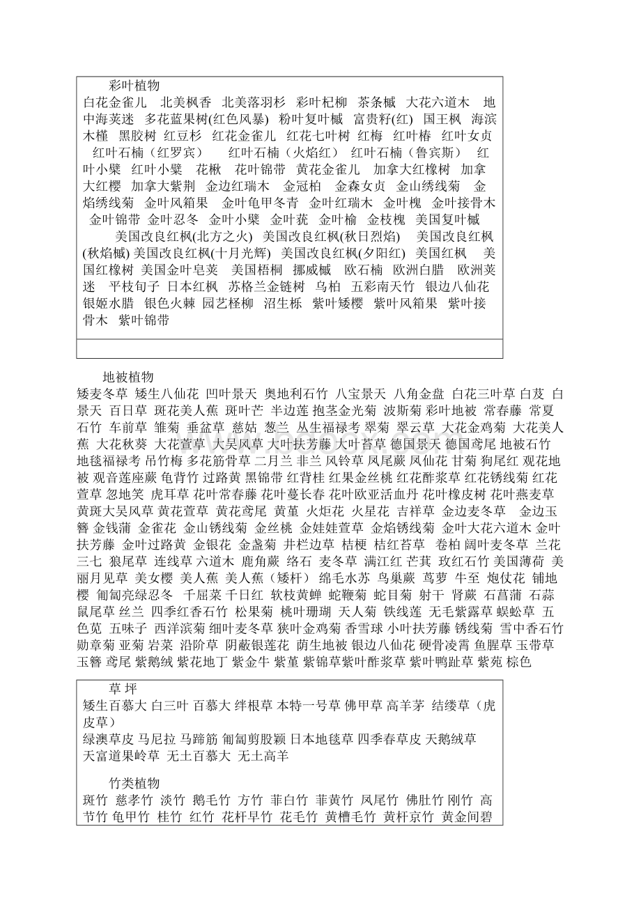 常绿乔木种类.docx_第2页