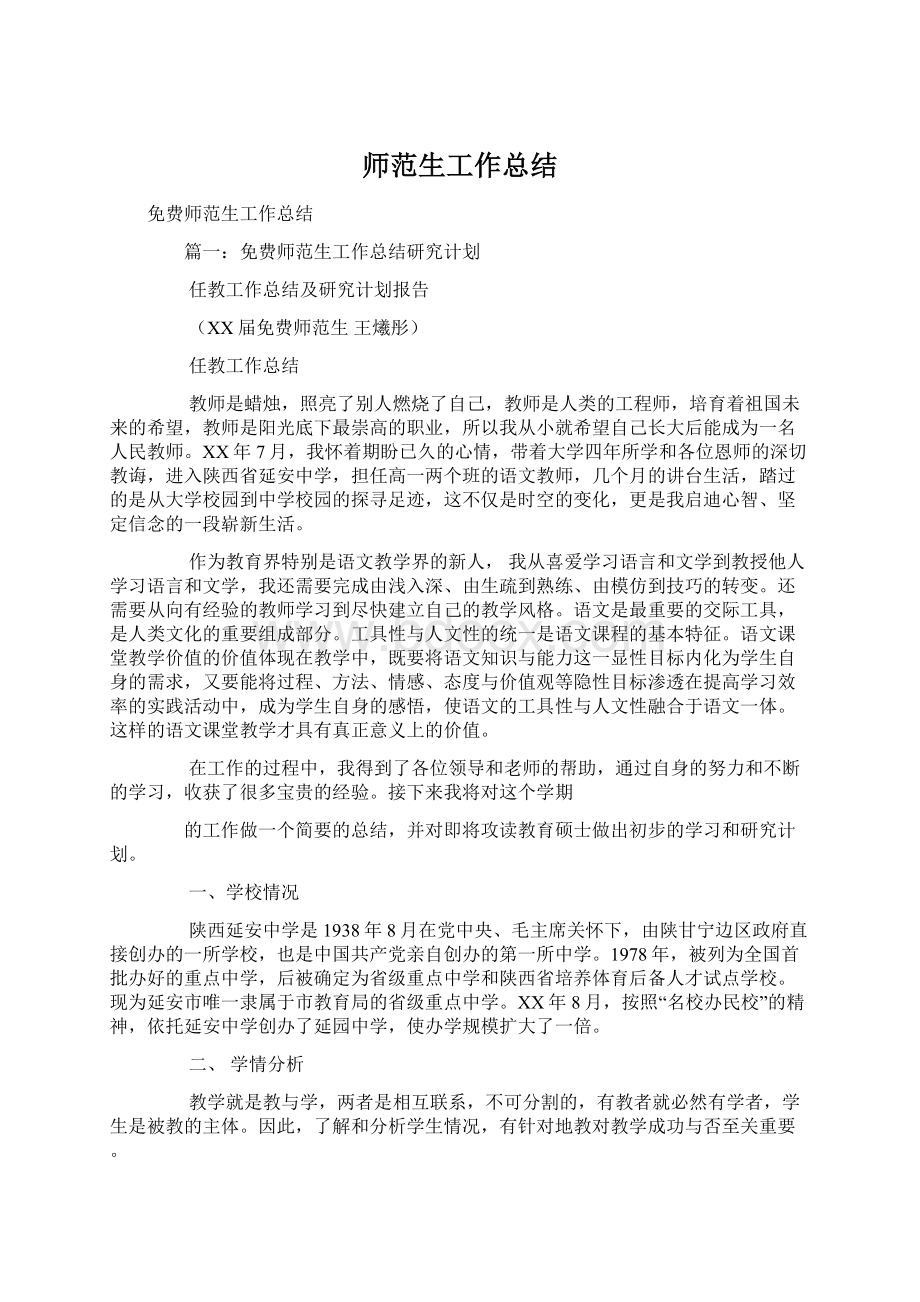 师范生工作总结文档格式.docx