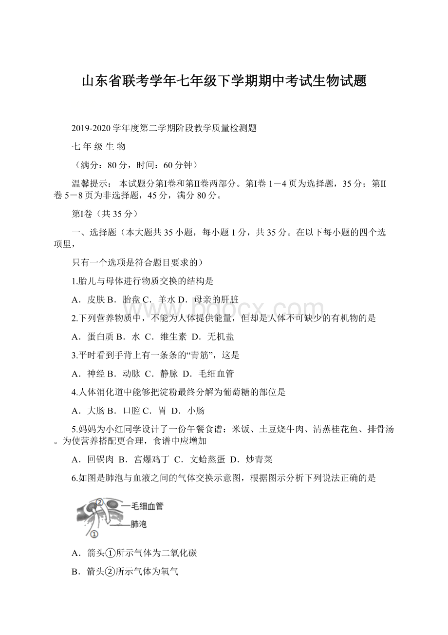 山东省联考学年七年级下学期期中考试生物试题Word文件下载.docx_第1页