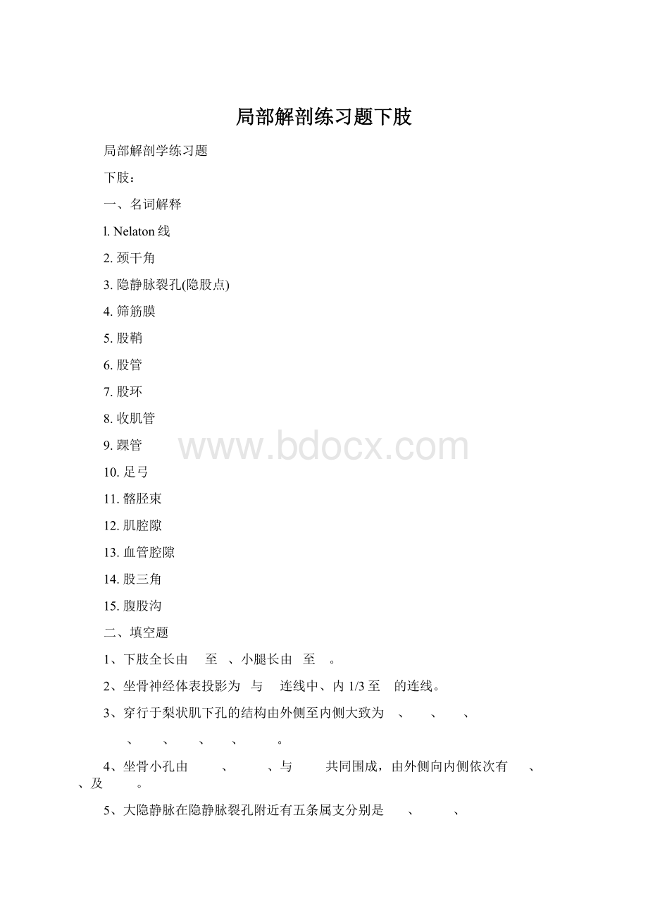 局部解剖练习题下肢.docx_第1页