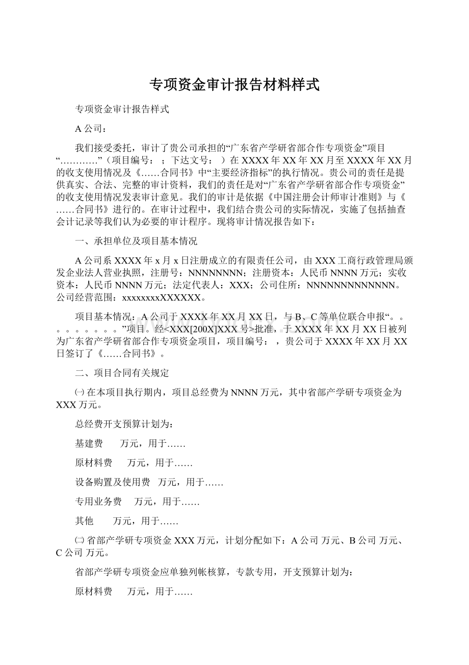 专项资金审计报告材料样式.docx