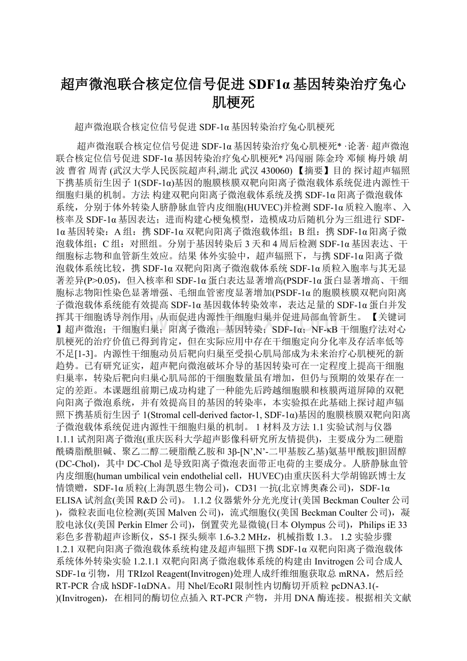 超声微泡联合核定位信号促进SDF1α基因转染治疗兔心肌梗死文档格式.docx