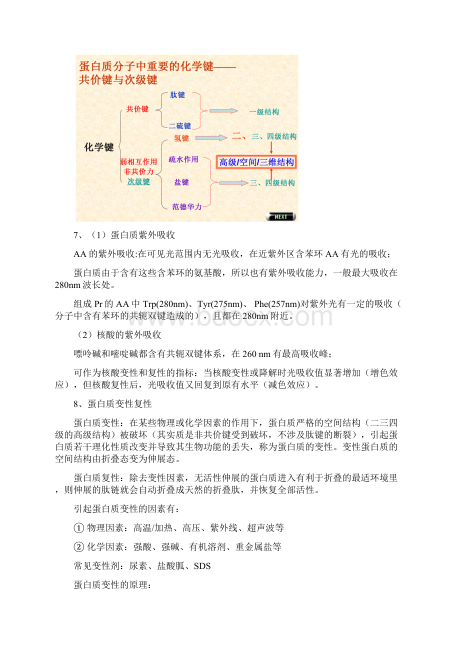 生化复习12.docx_第3页