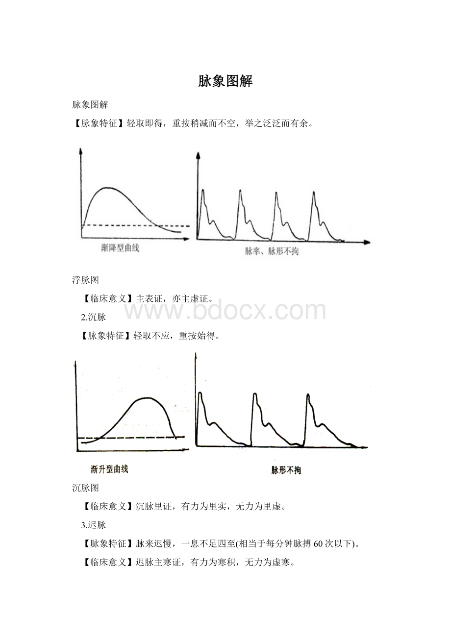 脉象图解Word格式.docx