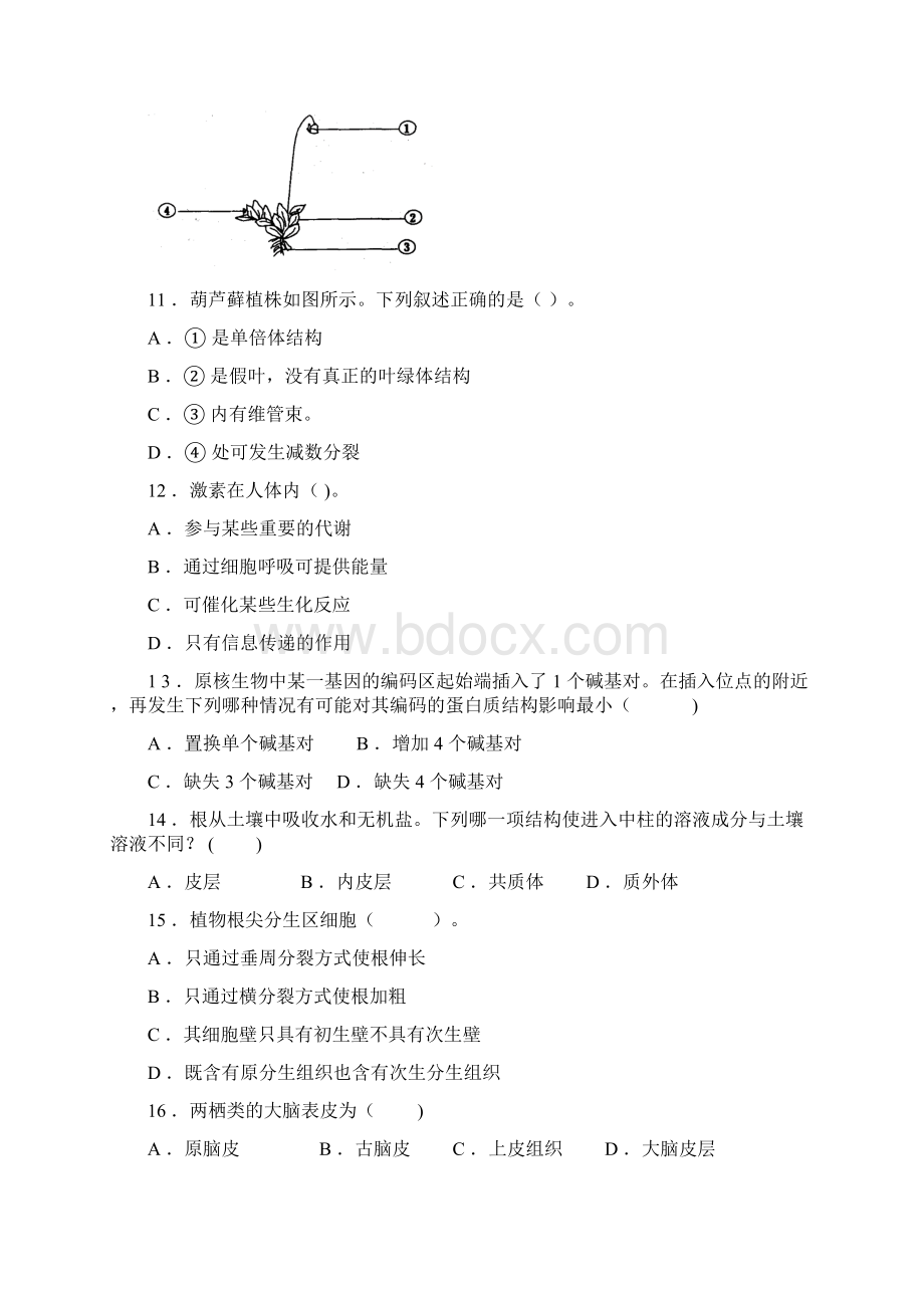 广东省生物联赛试题教学文案.docx_第3页