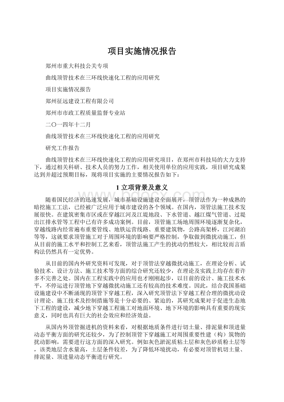 项目实施情况报告.docx