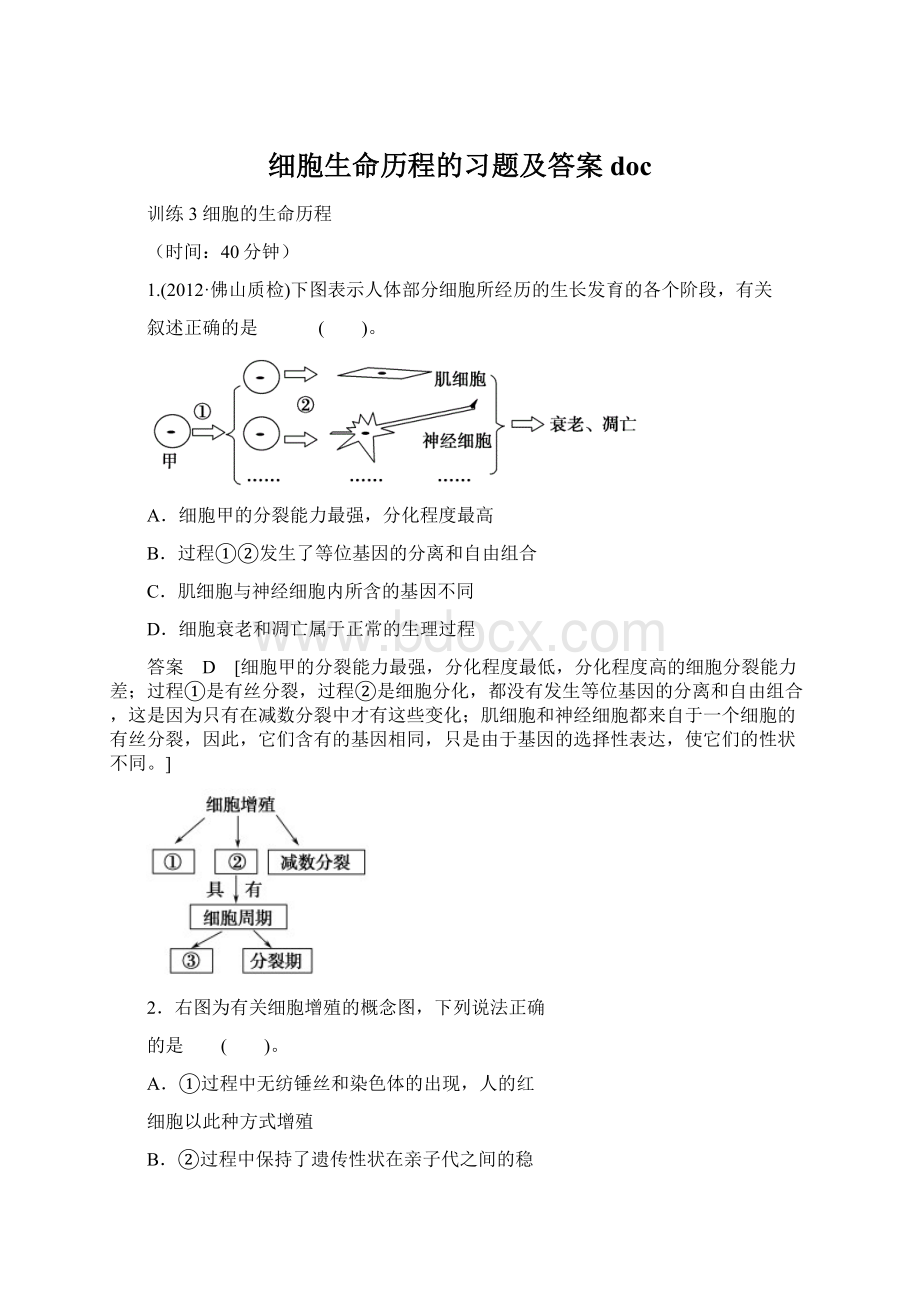 细胞生命历程的习题及答案docWord格式.docx