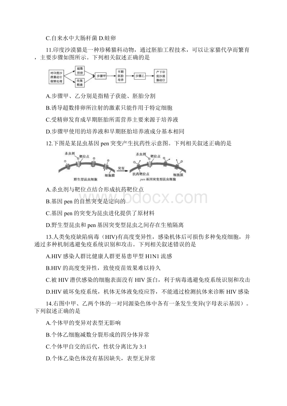 江苏高考生物试题及答案.docx_第3页