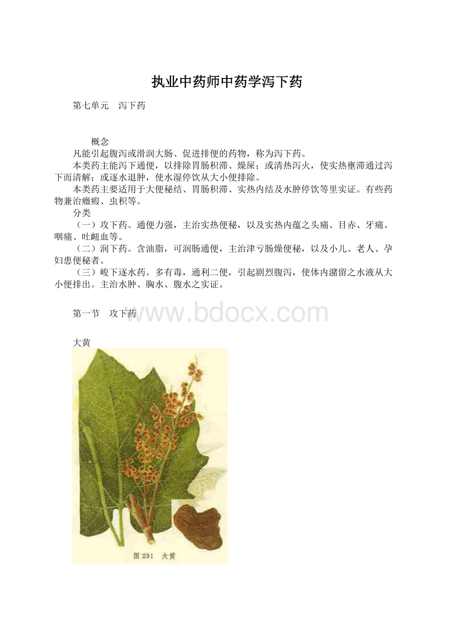 执业中药师中药学泻下药.docx