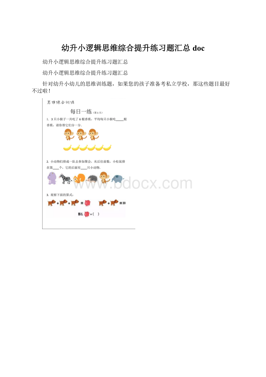 幼升小逻辑思维综合提升练习题汇总docWord文档格式.docx