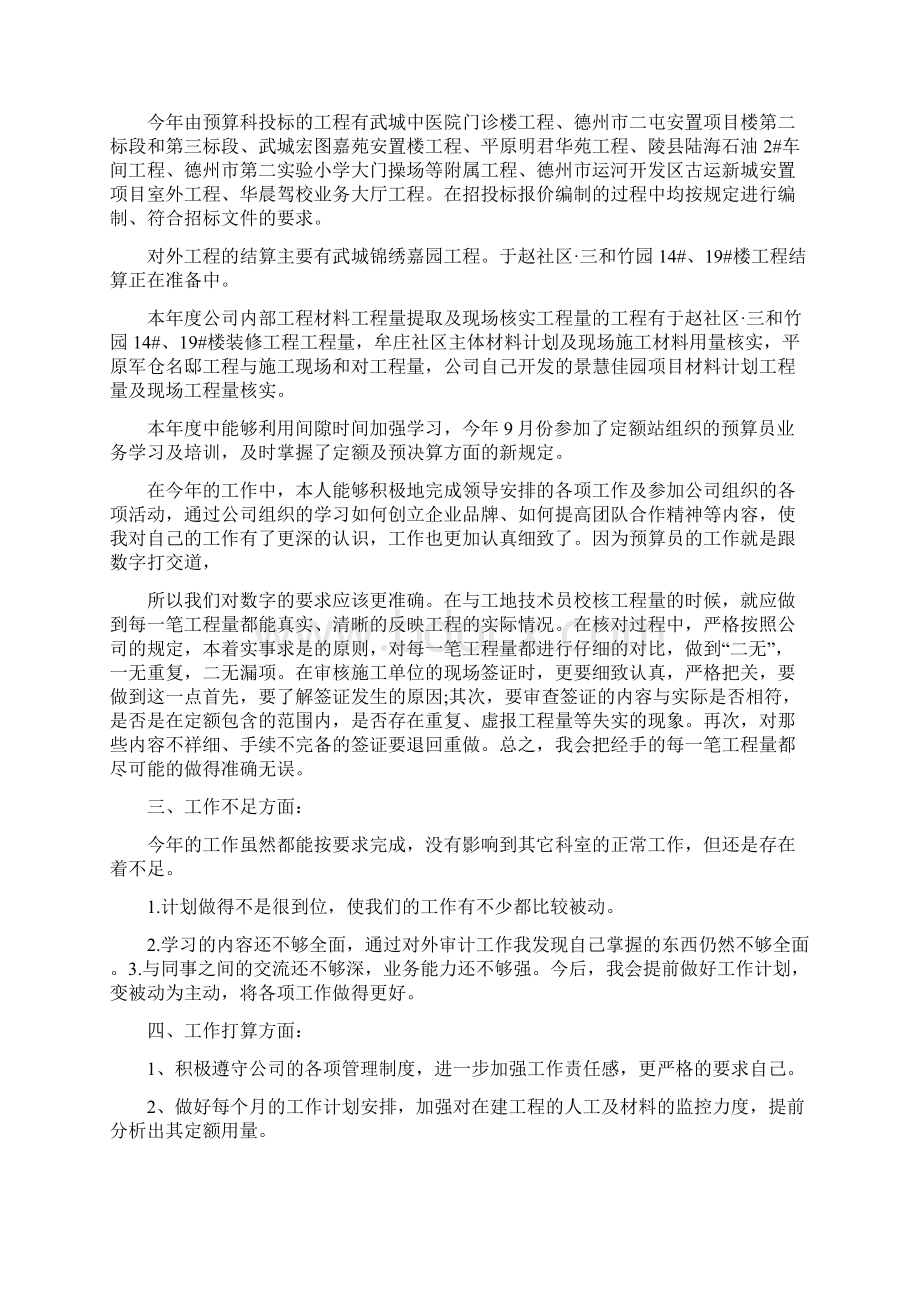 预算专业技术工作总结多篇范文1文档格式.docx_第2页