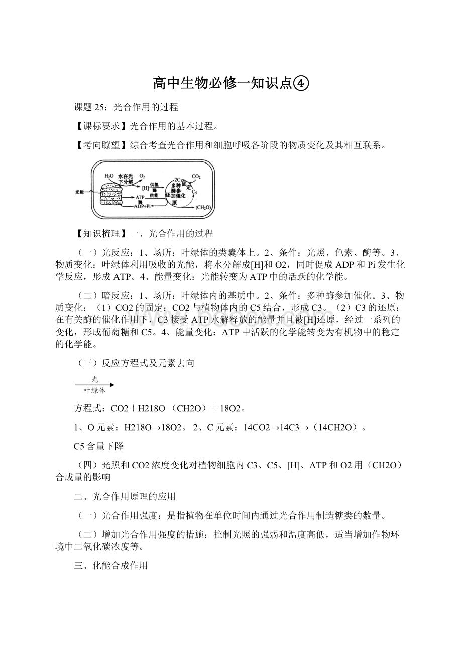 高中生物必修一知识点④Word格式文档下载.docx