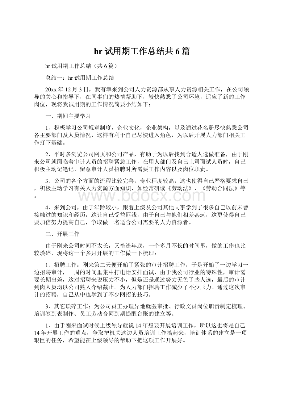 hr试用期工作总结共6篇文档格式.docx