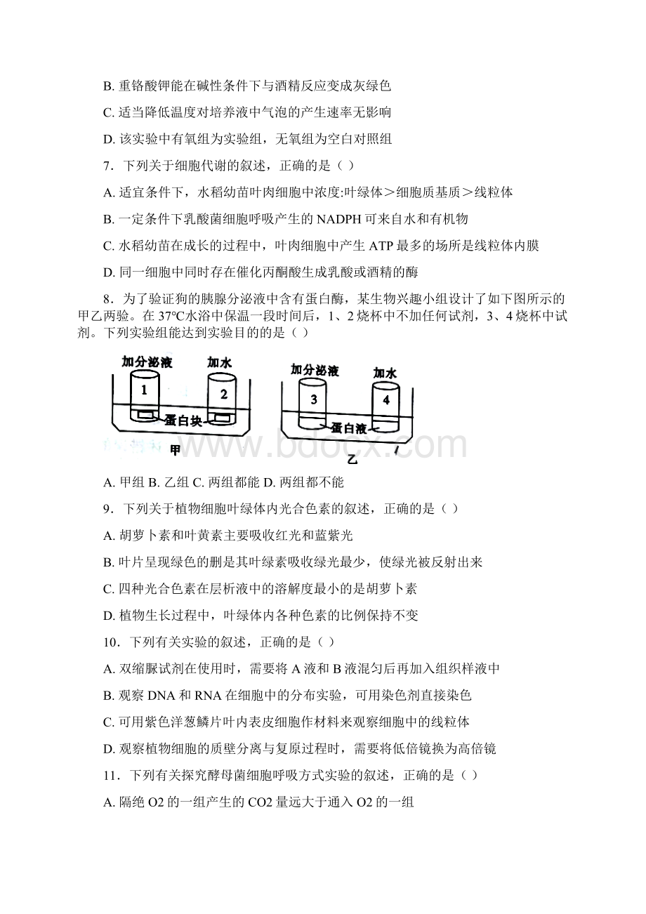 100所名校河北省邢台市届高三质量检测生物试题解析版Word格式.docx_第3页