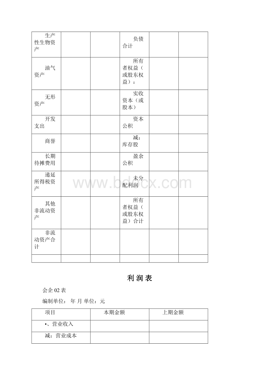 完整版财务报表标准版完整版.docx_第3页