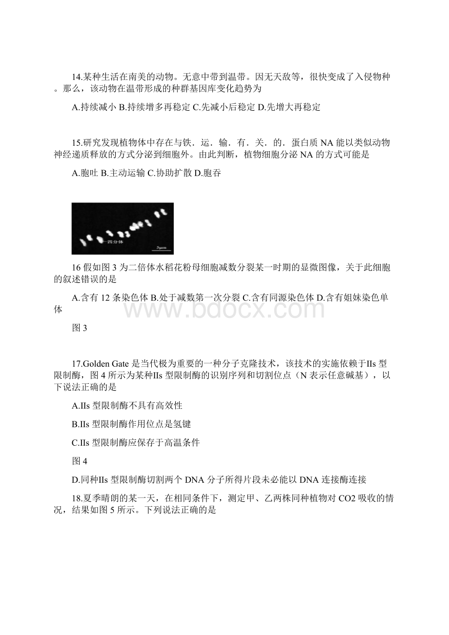 届上海市徐汇区高三高二等级考一模生物试题1Word文件下载.docx_第3页