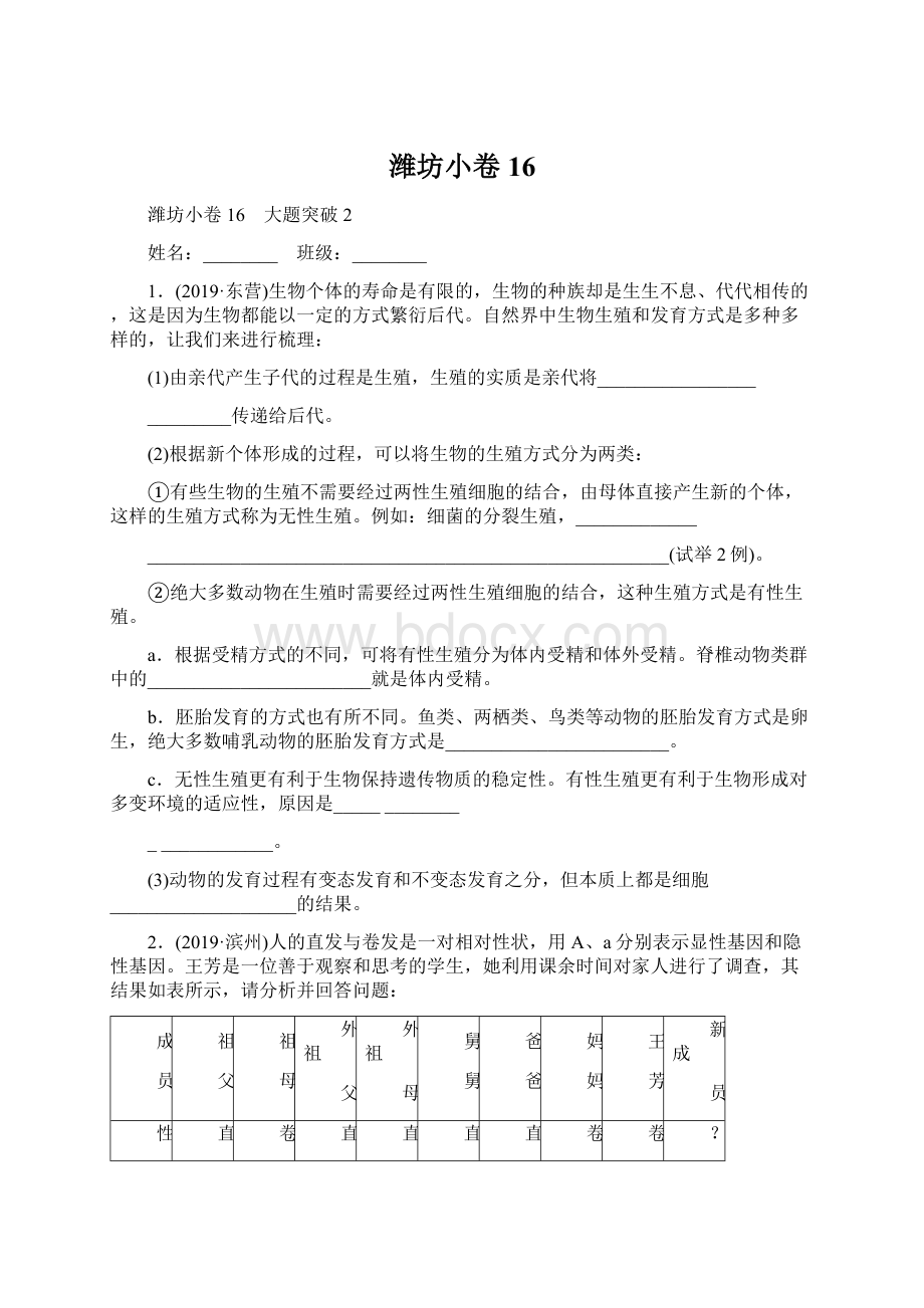 潍坊小卷16.docx_第1页