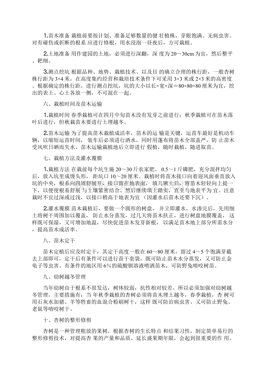 杏树栽培技术要点剖析文档格式.docx_第3页