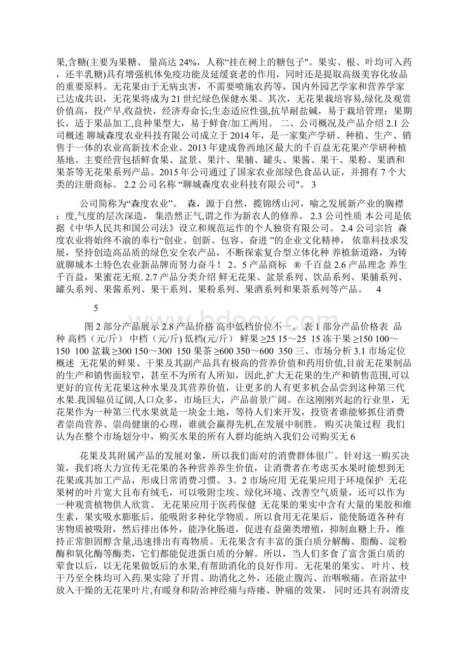 无花果项目商业计划书.docx_第2页