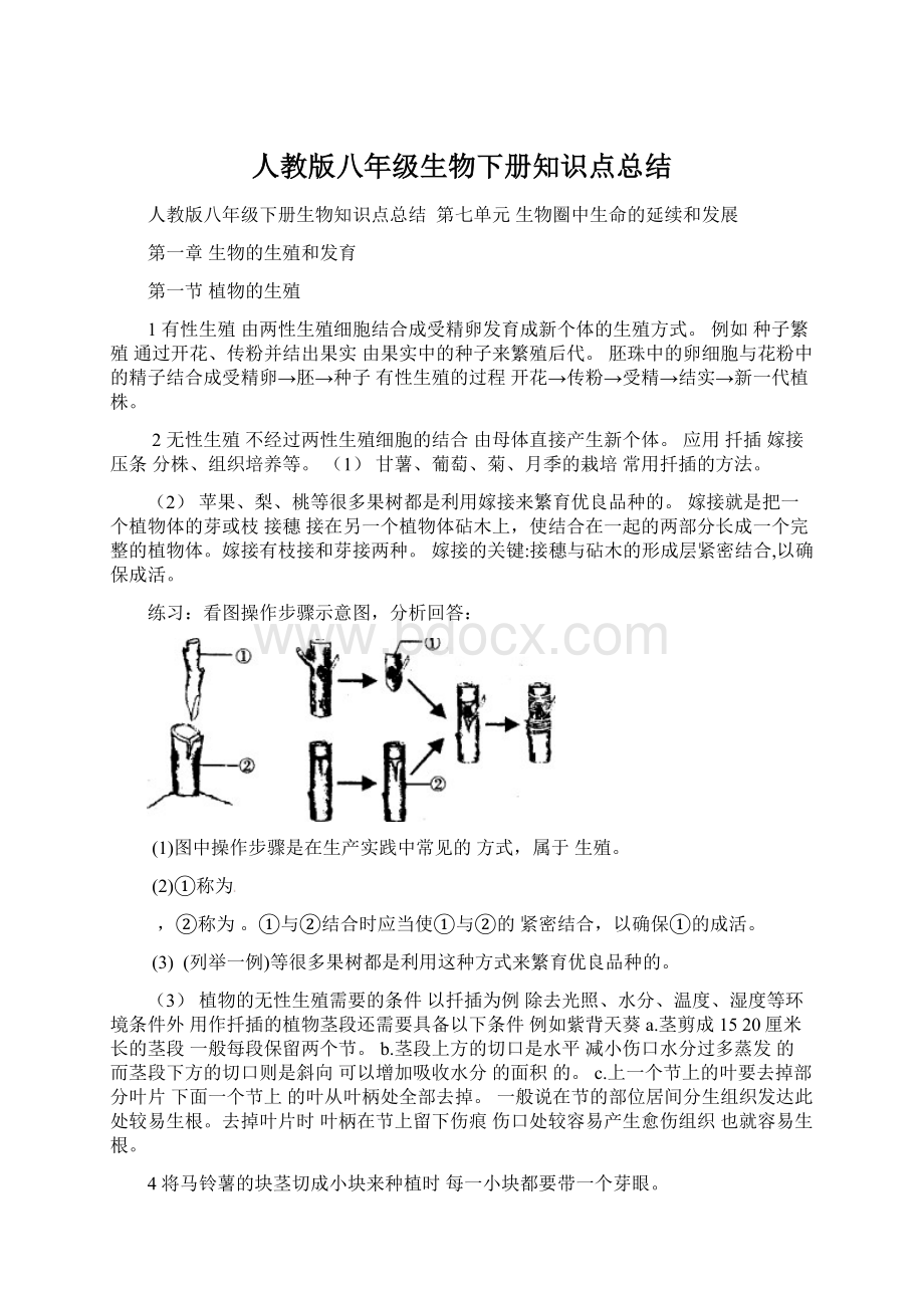 人教版八年级生物下册知识点总结Word下载.docx