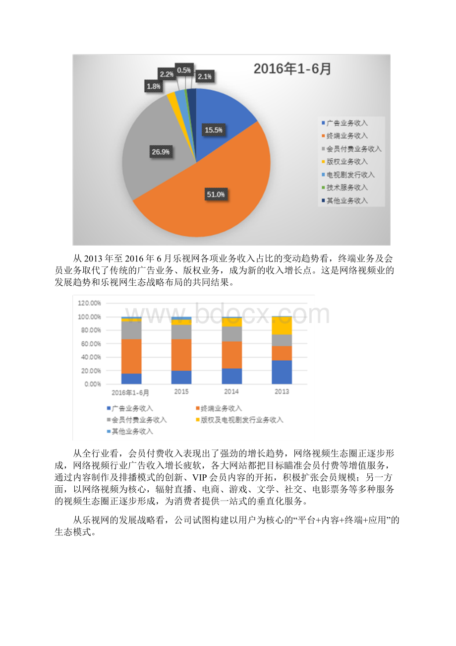 乐视网分析报告Word格式文档下载.docx_第2页