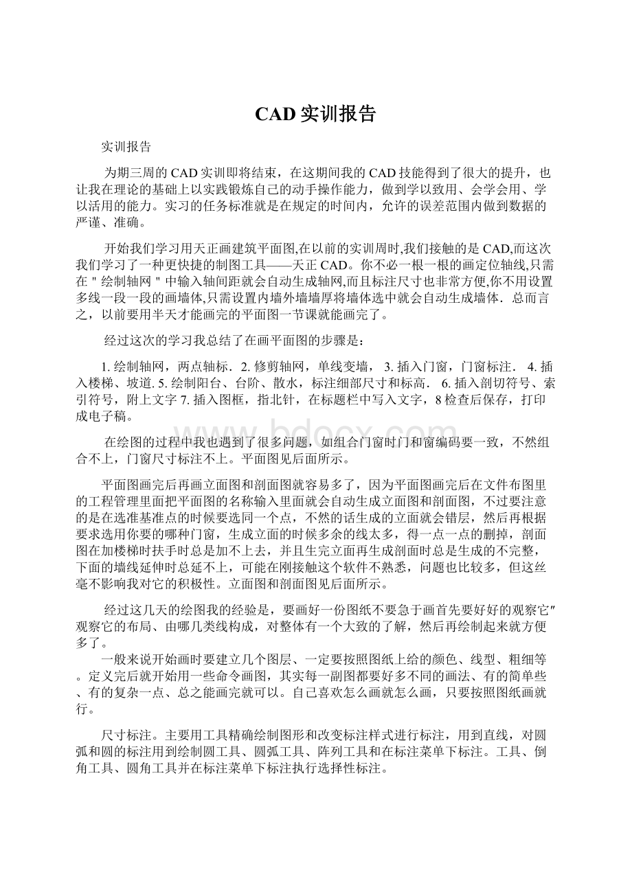 CAD实训报告.docx_第1页