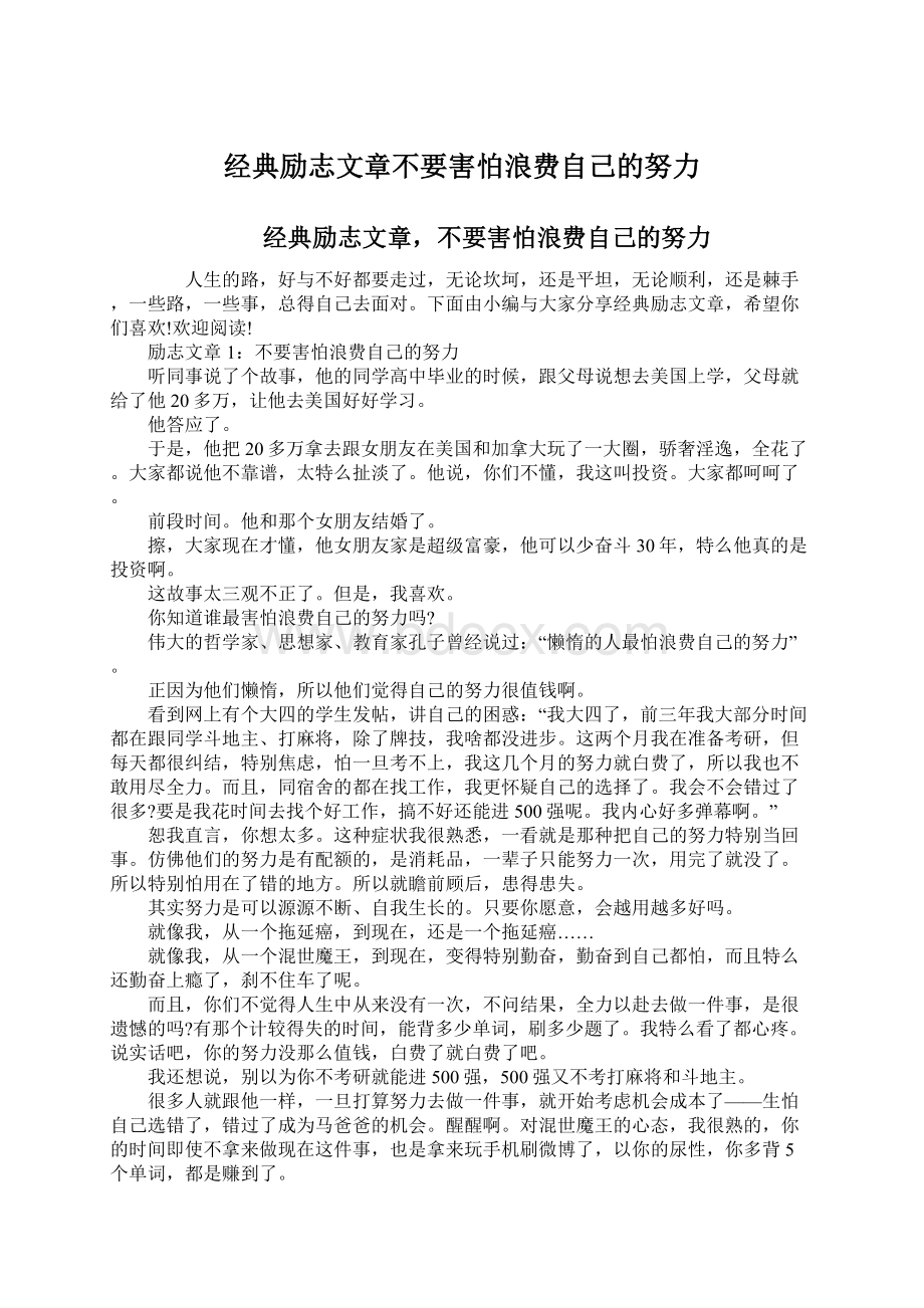 经典励志文章不要害怕浪费自己的努力.docx