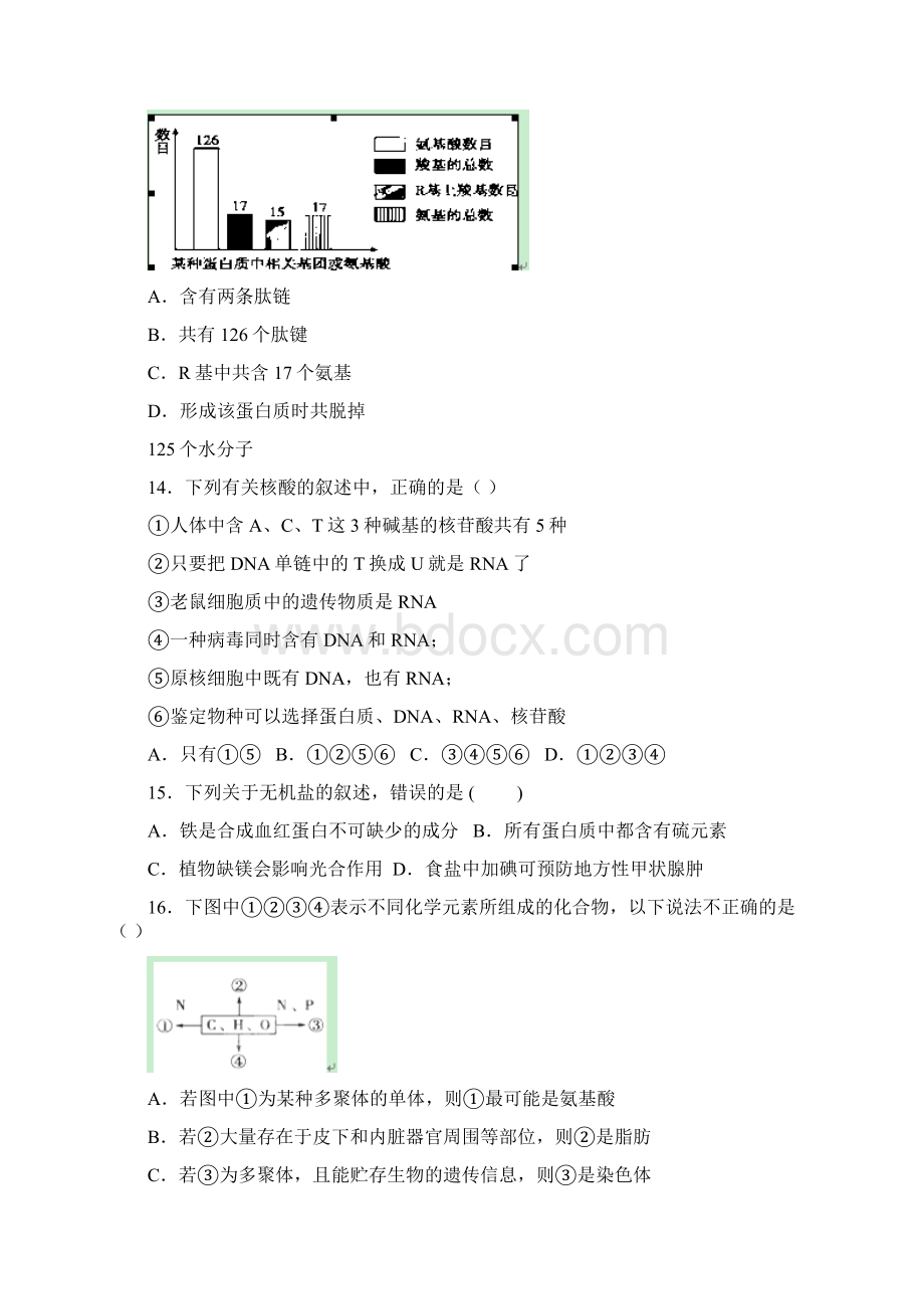 高一上学期段考期中生物试题 含答案.docx_第3页